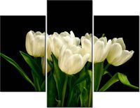 product-compare-58710494