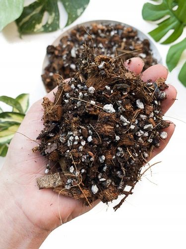 10L Bio Bigos Lekkie Uniwersalne Podłoże Ziemia do Kwiatów Monstery na Arena.pl