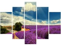 105CM 150CM OBRAZ 5 ELEM LAWENDOWY KRAJOBRAZ DRUK
