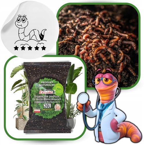 Ziemia Podłoże do Roślin 20L Doniczkowych Zielonych Kwiatów z humusem na Arena.pl