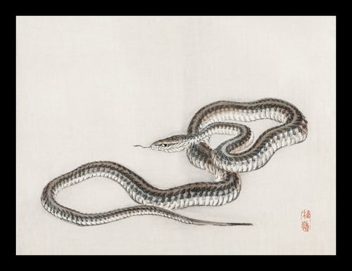 Plakat 20x15cm Snake, Kōno Bairei na Arena.pl