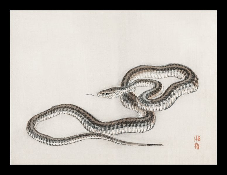 Plakat 20x15cm Snake, Kōno Bairei zdjęcie 2