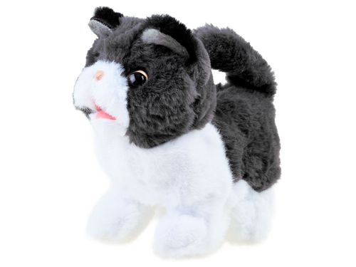 KOTEK PSOTEK INTERAKTYWNY SZUKA MAMY na Arena.pl