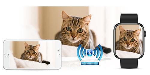 Smartwatch Damski Gravity GT3-3 na Arena.pl