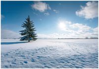 Fototapeta Na Flizelinie Do Sypialni Salonu Pole 300x210