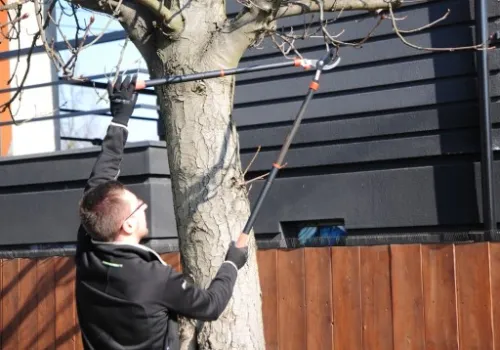 SEKATOR DO KONARÓW YATO TELESKOPOWY OGRODOWY 960MM na Arena.pl