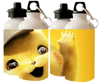 Bidon Junior Pokemon