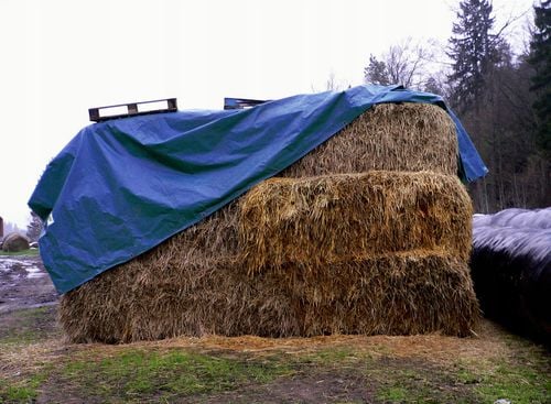 plandeka 4x5m na Arena.pl