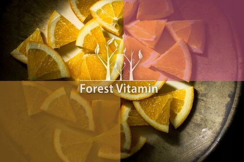 ACEROLA PROSZEK 500g NATURALNA WITAMINA C MOCNA na Arena.pl