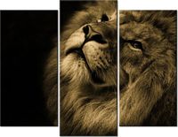 60 90CM OBRAZ 3 ELEM ZŁOTY LEW ŚCIENNY DRUK PŁÓTNO