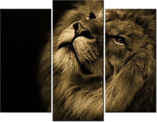 60 90CM OBRAZ 3 ELEM ZŁOTY LEW ŚCIENNY DRUK PŁÓTNO na Arena.pl