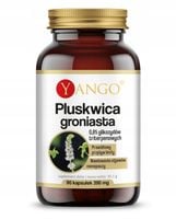 Pluskwica groniasta - ekstrakt - Yango - 90 kaps.