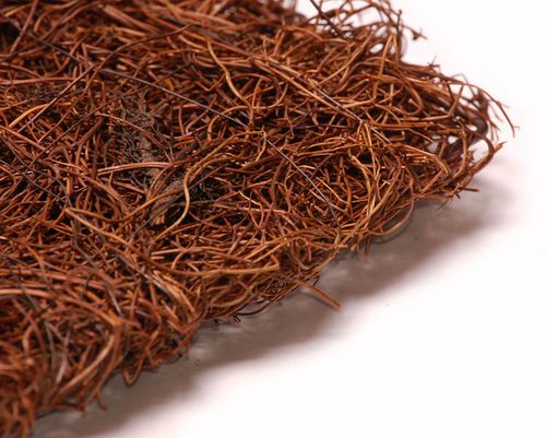 Faszyna mata 10x10 na Arena.pl