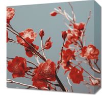 Obraz 40x40cm Szkarłatna Wiosna