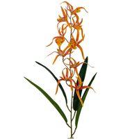 Storczyk pojedynczy gumowany pomarańczowy