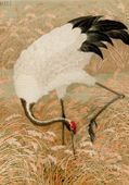 Plakat 70x100cm Sarus Crane, G.A. Audsley Japoński Vintage