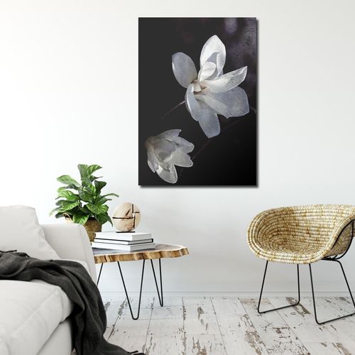 Obraz na płótnie - Canvas, Jaśminowe płatki 40x60 na Arena.pl
