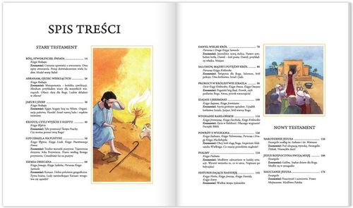 Przyjąłem Jezusa Biblia na Pierwszą Komunię w etui na Arena.pl