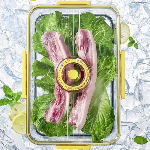 POJEMNIK NA ŻYWNOŚĆ DO LODÓWKI NA WĘDLINY SERY HERMETYCZNY Z DATOWNIKIEM na Arena.pl