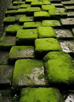 Plakat 13x18cm Zielona Mozaika