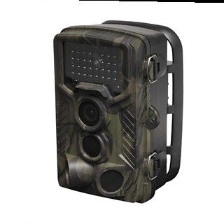 Denver Digital wildlife camera with 8 Mpx na Arena.pl