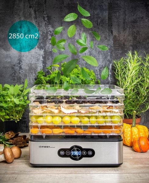 Suszarka do grzybów owoców DEHYDRATOR FIRST 240W First Austria zdjęcie 5