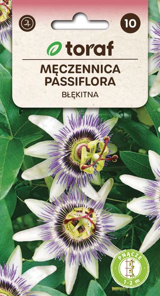 Męczennica, Passiflora nasiona 0,2 g. zdjęcie 1