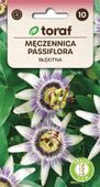 Męczennica, Passiflora nasiona 0,2 g.