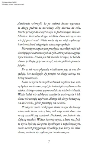 Muszę cię odnaleźć na Arena.pl