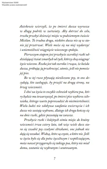 Muszę Cię Odnaleźć zdjęcie 13