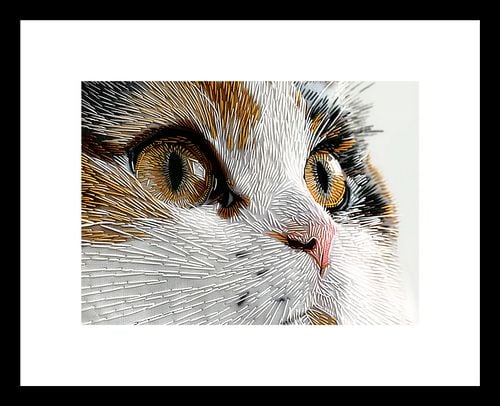 Plakat 18x13cm Nitkowany Kot na Arena.pl