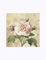 product-compare-64119284