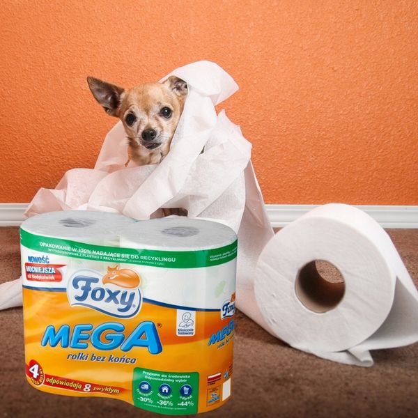 Papier toaletowy Foxy Mega zdjęcie 9