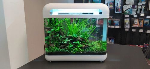 INVITAL EasyTank CASCADE LED 17 litrów biały na Arena.pl