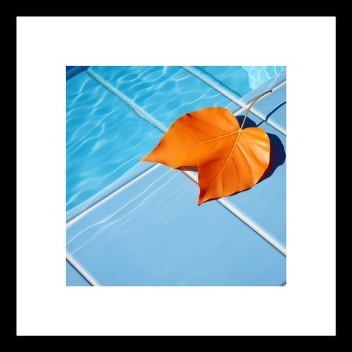 Plakat 20x20cm Liść przy Wodzie na Arena.pl