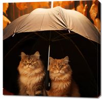 Obraz 90x90cm Jesienny Koci Schron