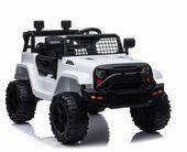 JNOWSZY DZIP NA AKUMULATOR, PILOT, RADIO FM/BDM0922