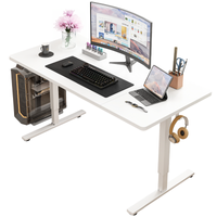 Biurko Elektryczne Regulowane 120x60cm Regulacja Wysokości Gamingowe Białe