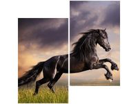 product-compare-58647230