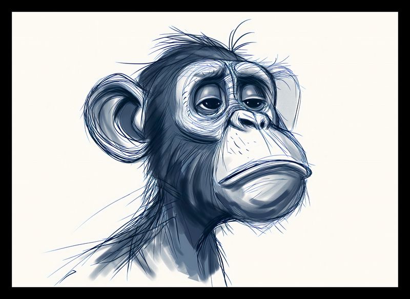 Plakat 35x25cm Zaduma zdjęcie 2