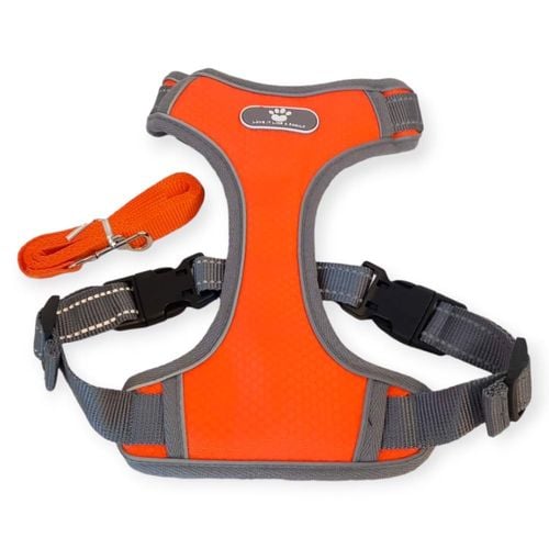 Regulowane szelki ze smyczą odblaskowe pomarańcz M na Arena.pl