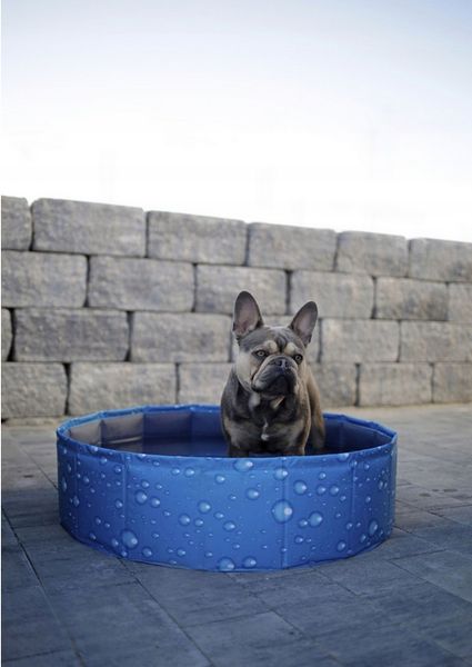 Basen dla psa Bubble, 80 x 80 x 20 cm Kerbl zdjęcie 8