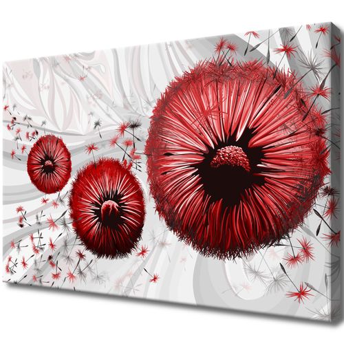 Obraz Drukowany 60X40 Czerwone Dmuchawce 2 na Arena.pl