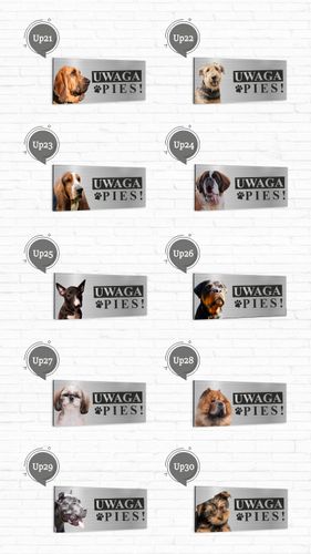 Tabliczka UWAGA PIES CAVALIER KING CHARLES SPANIEL na Arena.pl