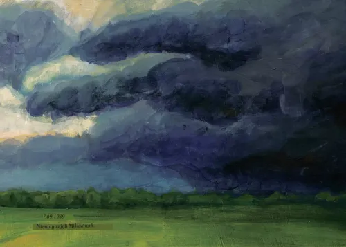 Widziałem pięknego dzięcioła na Arena.pl