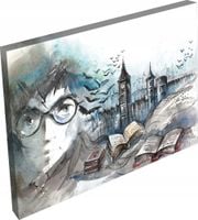 OBRAZ na płótnie do pokoju biura salonu 120x80