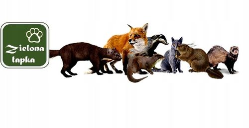 ODSTRASZACZ KUN MYSZY SZCZURÓW GRYZONI DRAGON ULTRASONIC NA BATERIE na Arena.pl