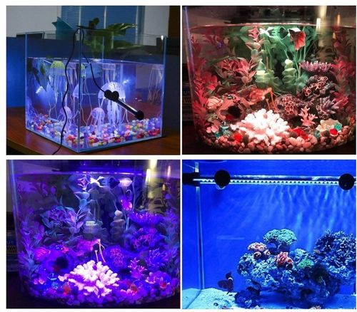 Świetlówka LED oświetlenie AKWARIUM 8520 50cm na Arena.pl