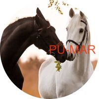 Opłatek na tort KONIE Koń Mustang Konik Kuc Urodziny Tekst Gratis