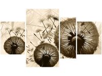 product-compare-58709022